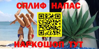 дмт Пенза