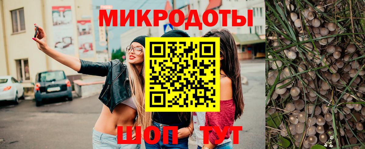 Тамбов  Галлюциногенные грибы Psilocybine cubensis  Вход с VPN  Псилоцибиновые грибы Psilocybe 