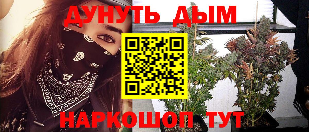 Галлюциногенные грибы Тамбов